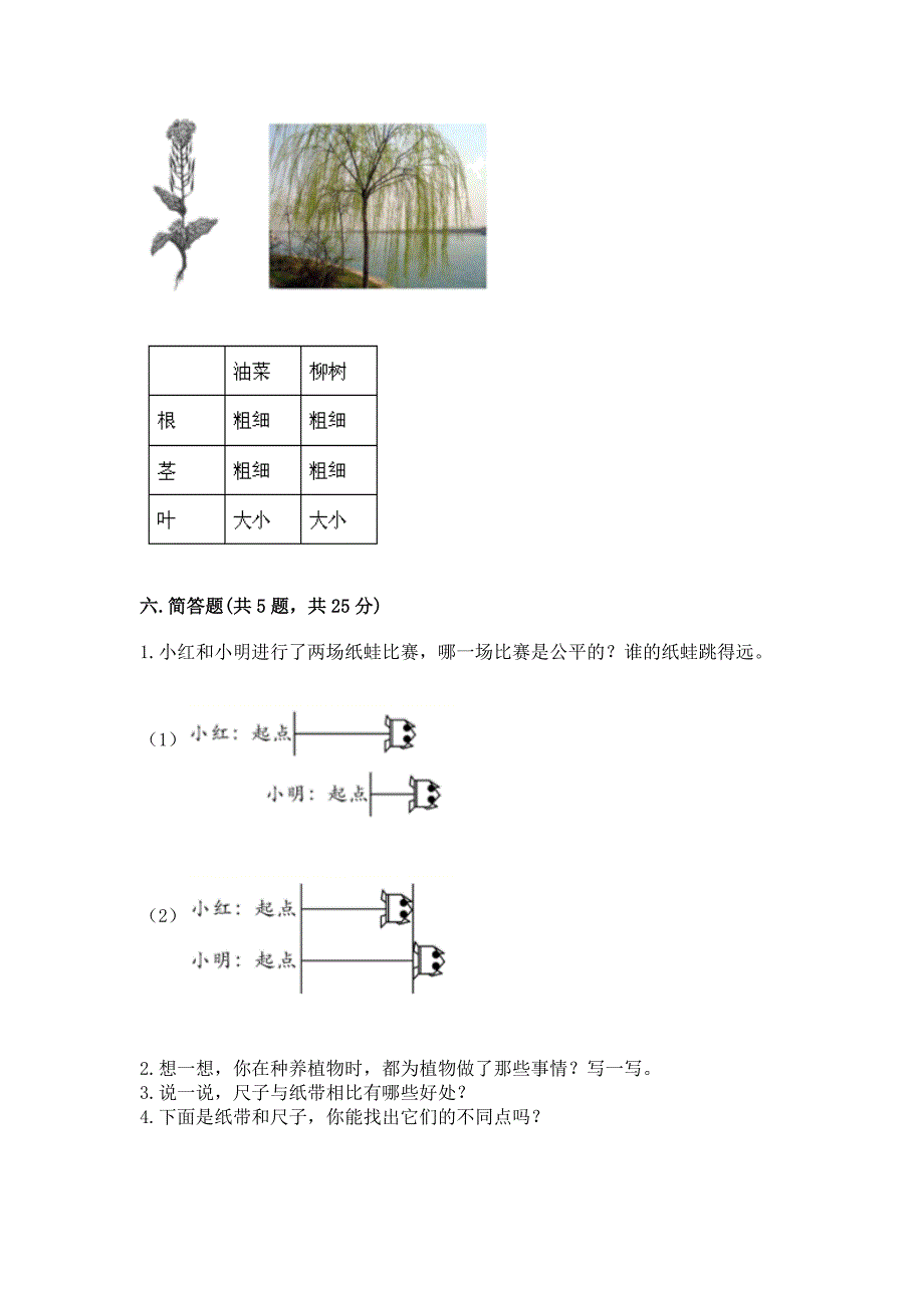 教科版一年级上册科学期末测试卷附参考答案(基础题).docx_第4页