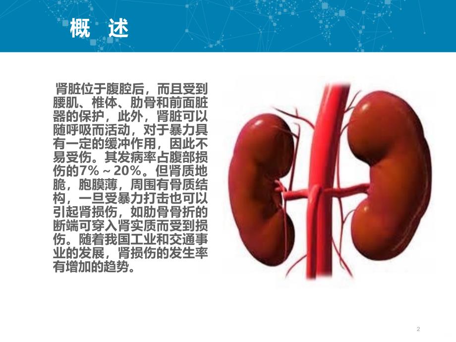 肾损伤PPT课件_第2页