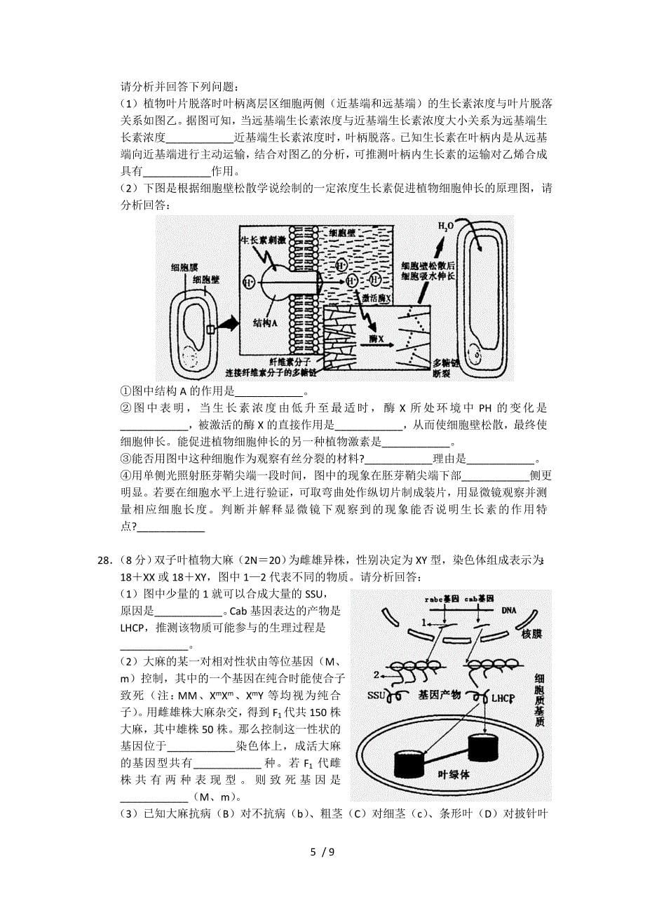 高三模拟生物试题含答案_第5页