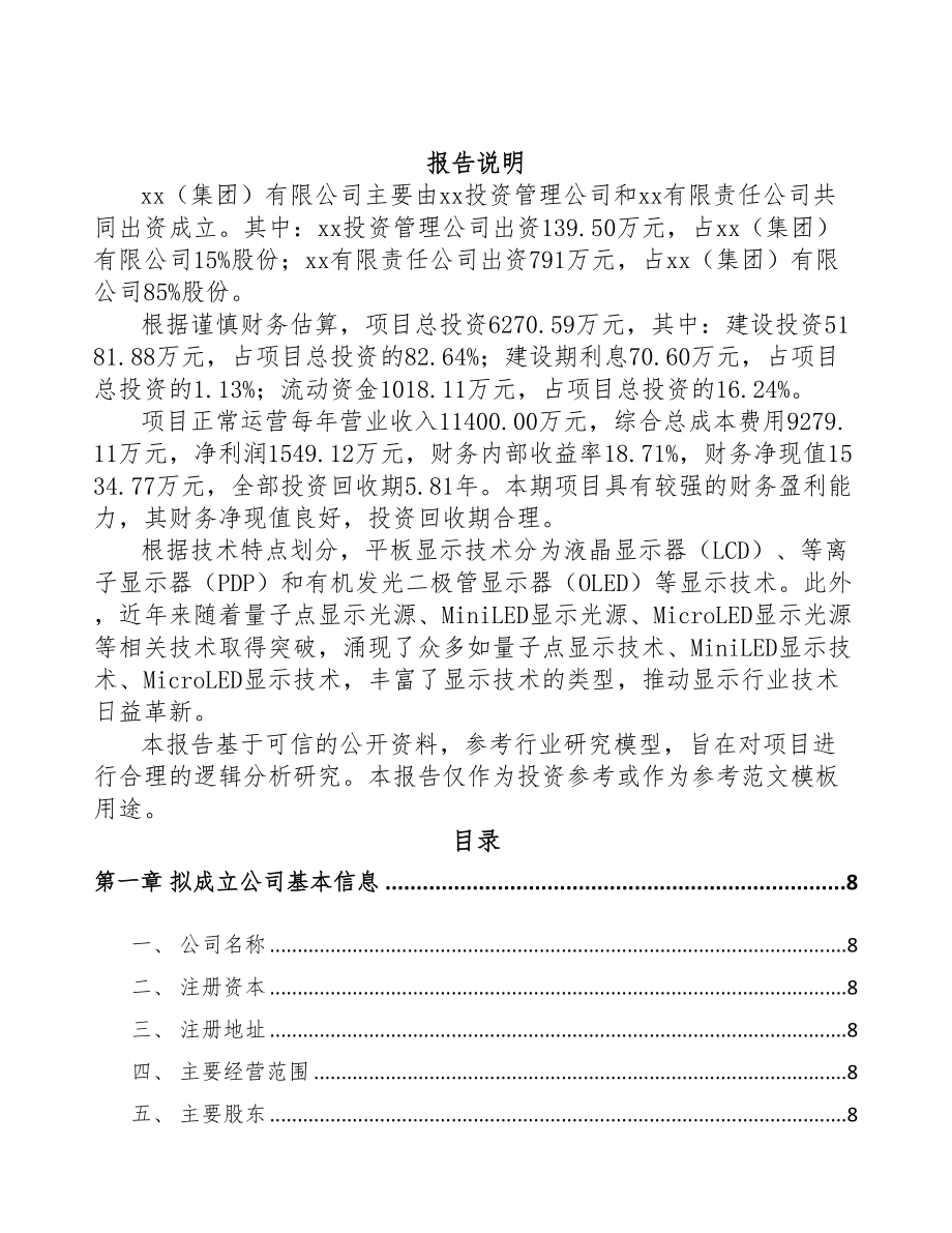 无锡关于成立显示设备公司可行性研究报告(DOC 90页)_第2页