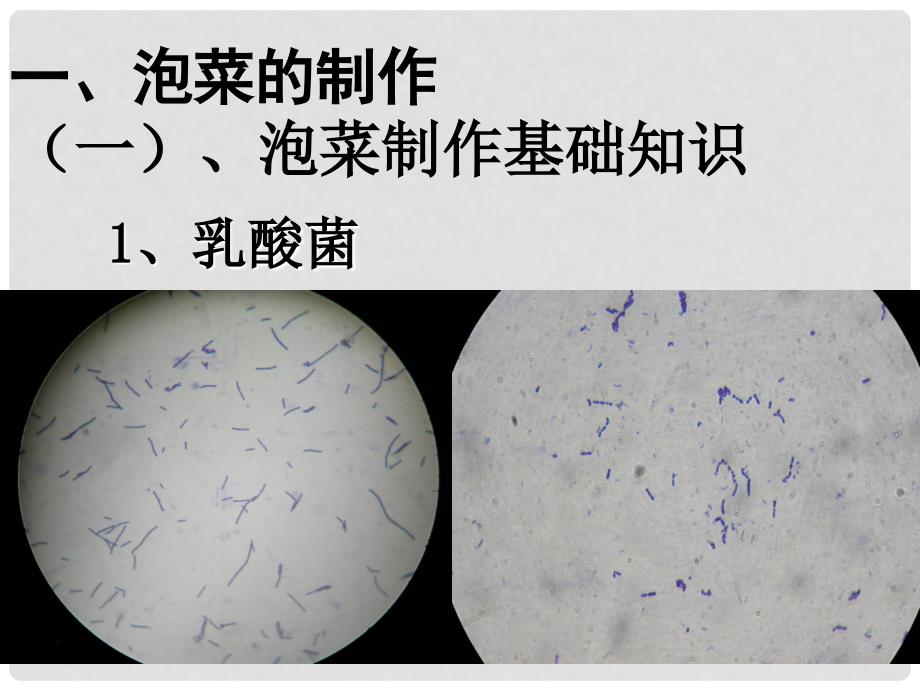 高中生物：1.3 制作泡菜并检测亚硝酸盐含量 课件（2）（新人教版选修1）_第4页