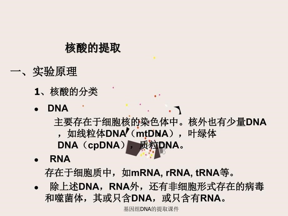 基因组DNA的提取课件_第5页