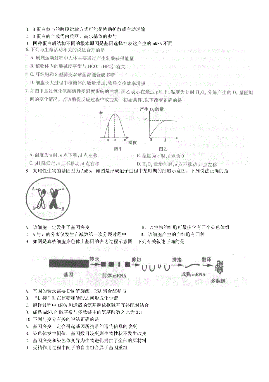 高三生物测试卷.doc_第2页