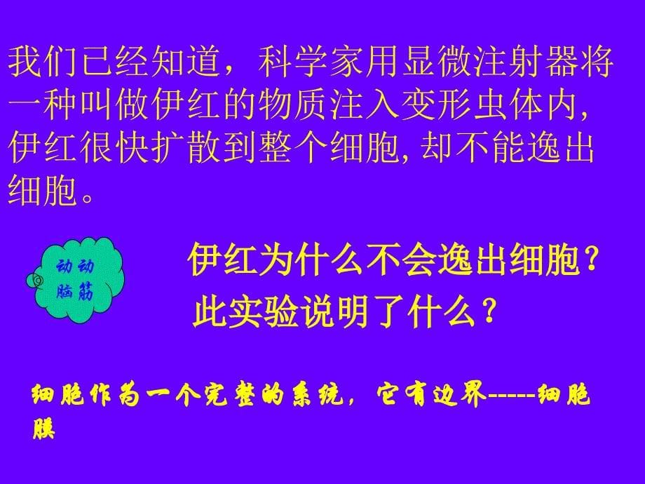 第一部分细胞膜系统的边界教学课件_第5页