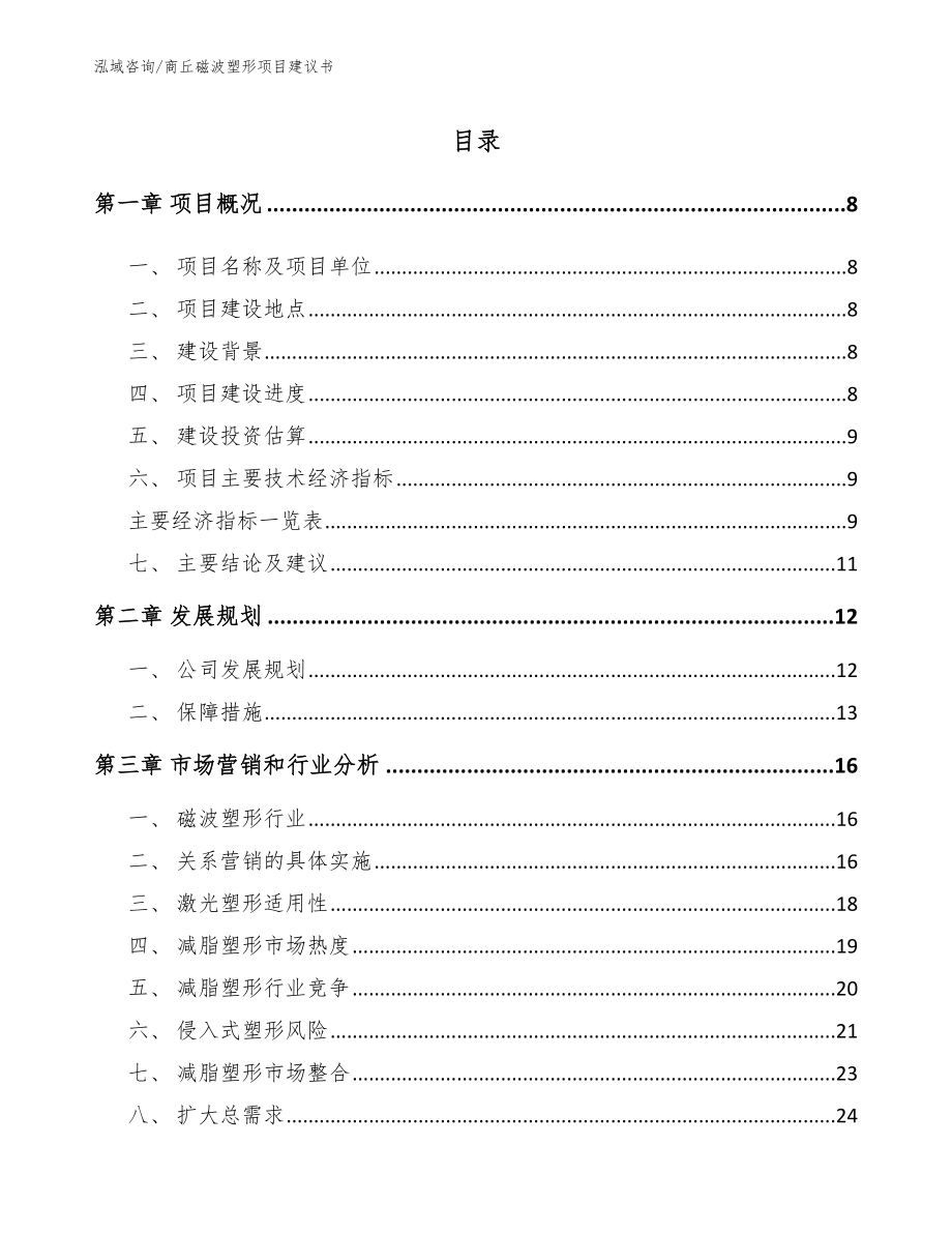 商丘磁波塑形项目建议书_第2页