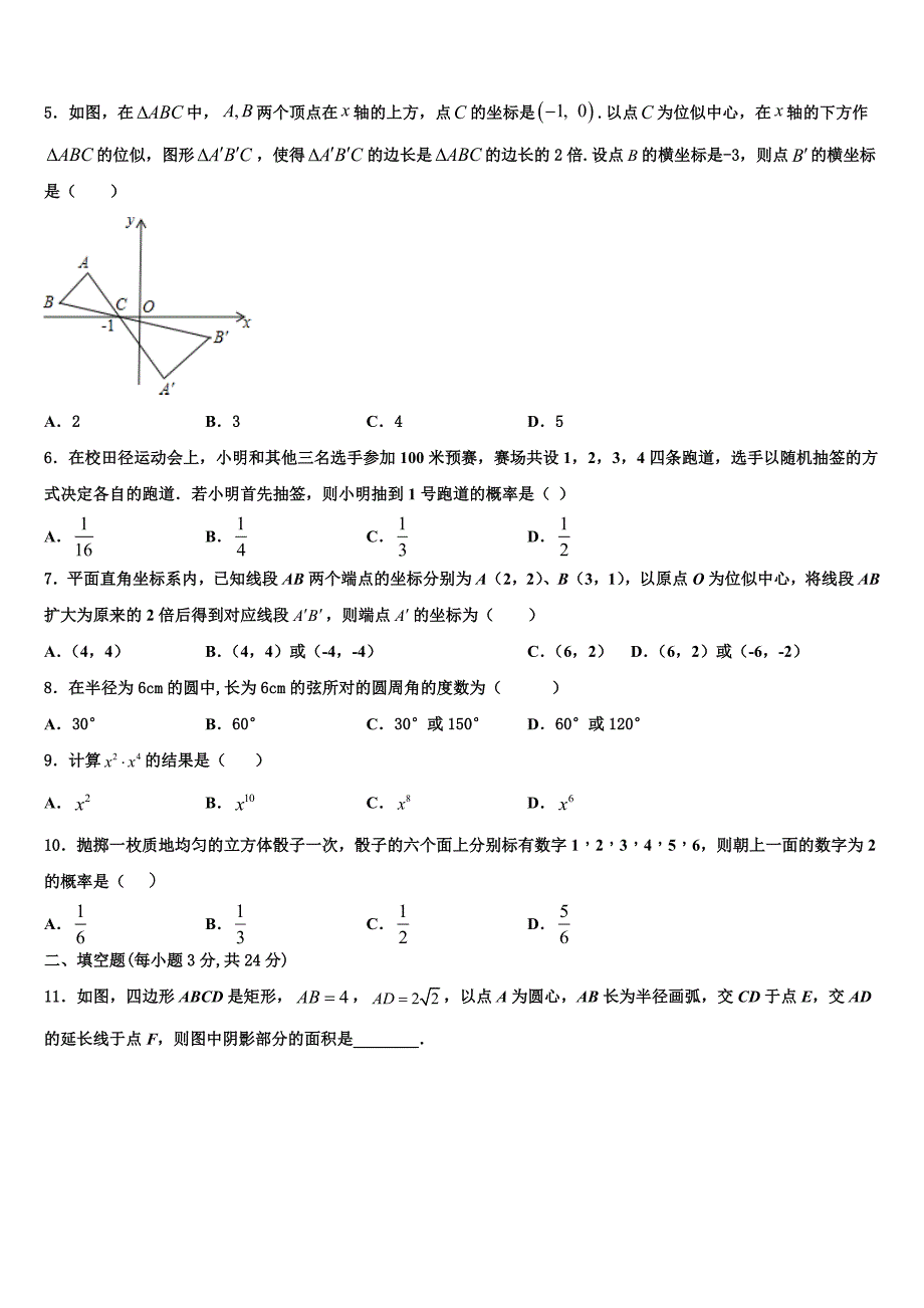 2023学年河北省廊坊市广阳区数学九上期末考试试题含解析.doc_第2页