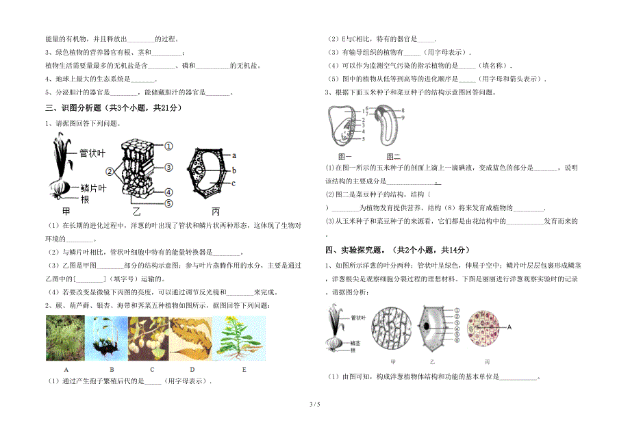 七年级生物上册期末考试卷及答案【完美版】.doc_第3页