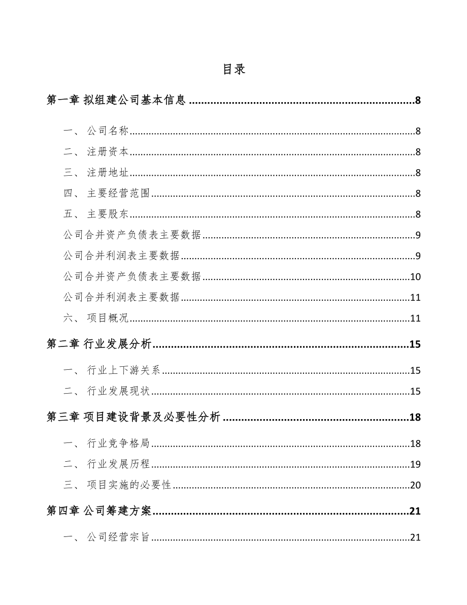 某某关于成立硅胶助剂公司可行性研究报告_第2页