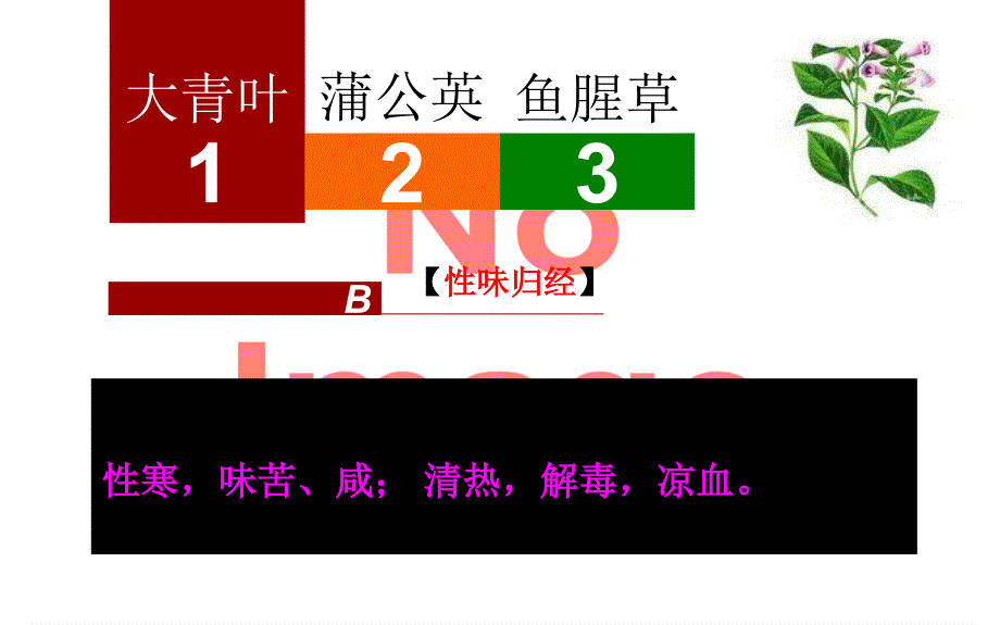 中医药学概论——大青叶、蒲公英、鱼腥草PPT文档资料_第3页