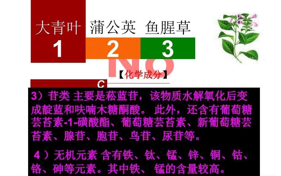 中医药学概论——大青叶、蒲公英、鱼腥草PPT文档资料_第5页