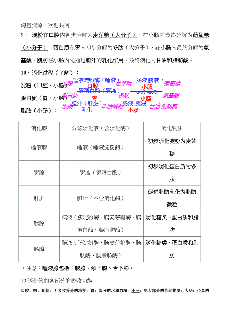 北师大版生物七年级下册知识点总结_第3页