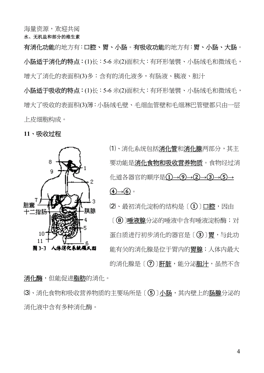 北师大版生物七年级下册知识点总结_第4页