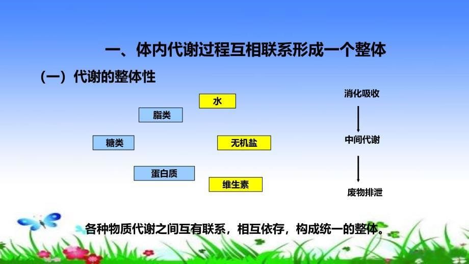 代谢的整合与调节_第5页