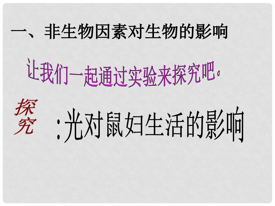 陕西省石泉县七年级生物上册 1.2.1 生物与环境的关系课件1 （新版）新人教版_第4页