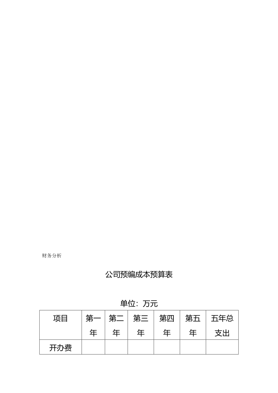 公司创业成本预算表模板(完整版)资料_第2页