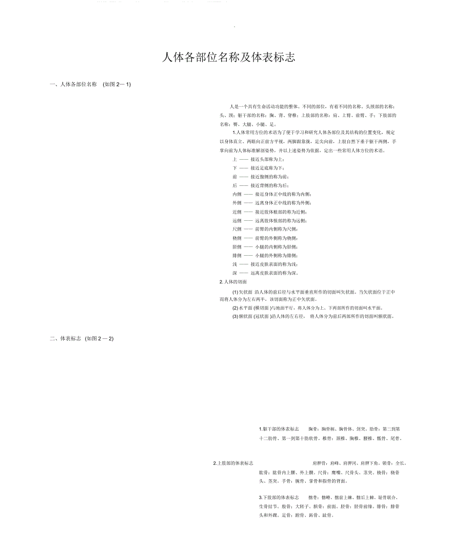 人体各部位名称及体表标志_第1页