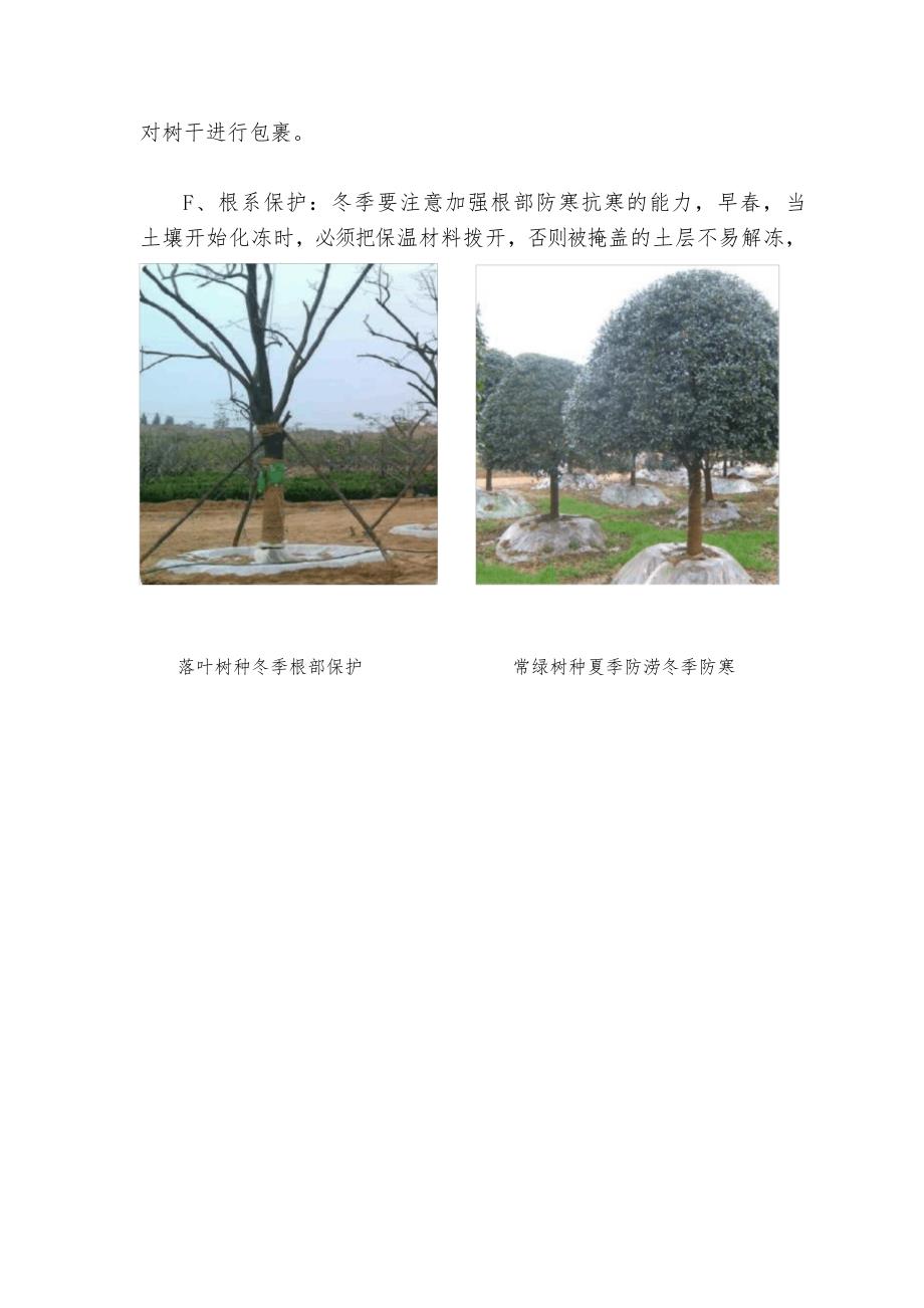 大树移植方案(图文)_第5页