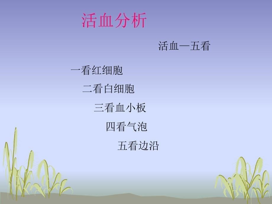 血液检测分析.ppt_第5页