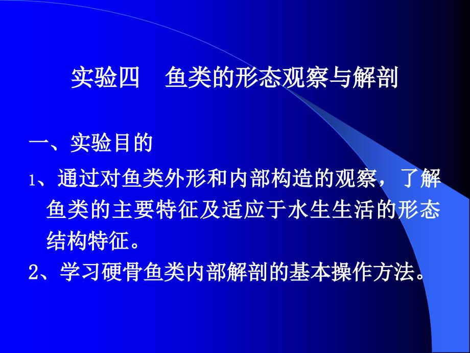 实验四鱼的形态观察与解剖_第1页