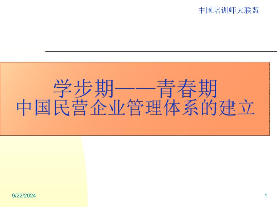 中国民营企业管理体系建立_第1页