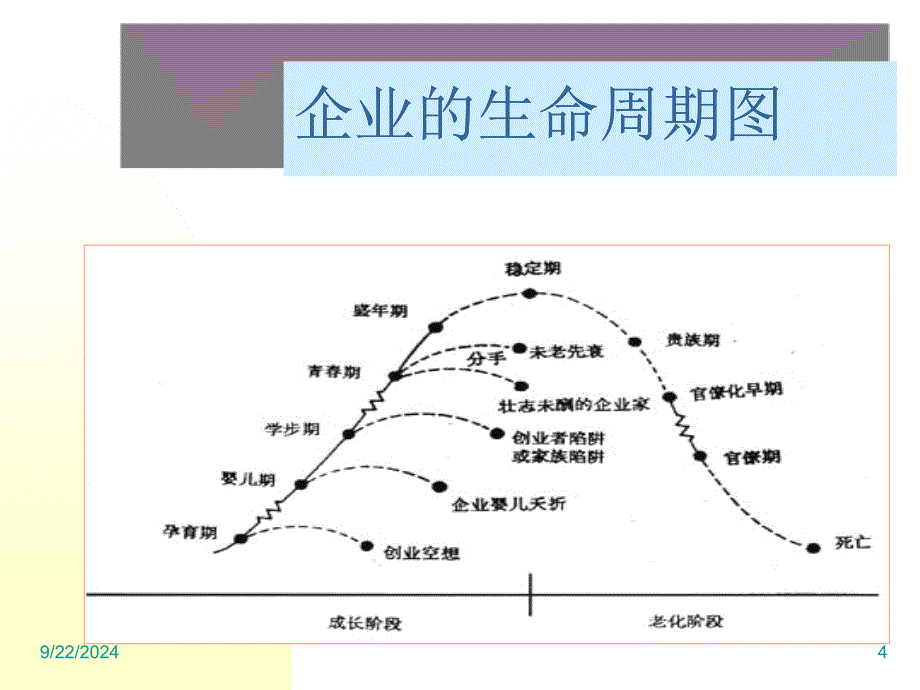 中国民营企业管理体系建立_第4页