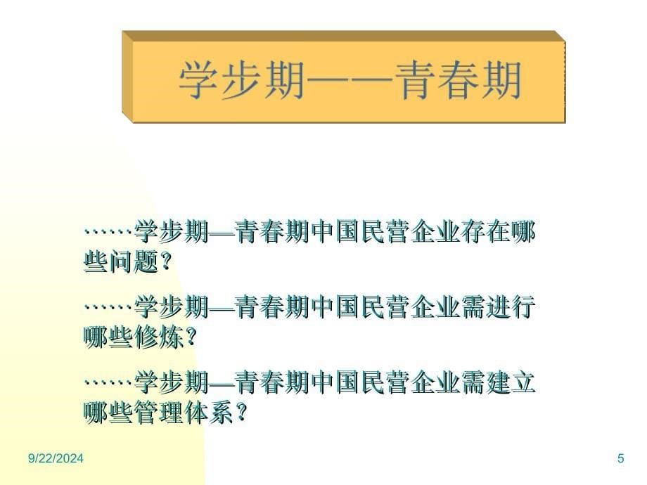 中国民营企业管理体系建立_第5页