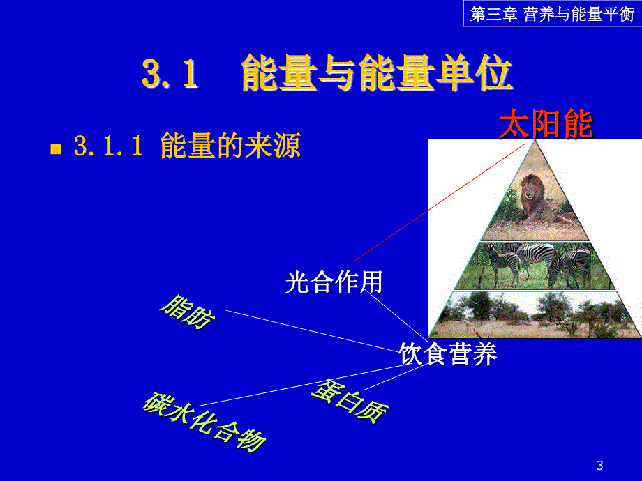 第三章-营养与能量平衡1课件_第3页