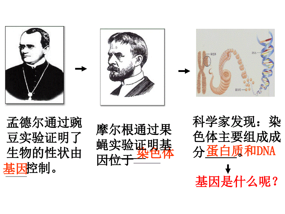 3.1DNA是主要的遗传物质一轮复习_第1页