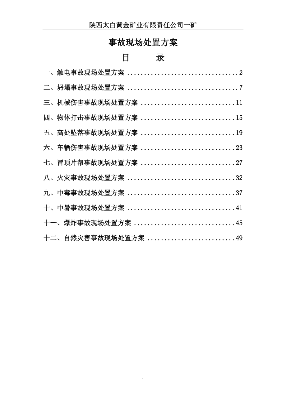 生产现场处置应急处置方案_第1页