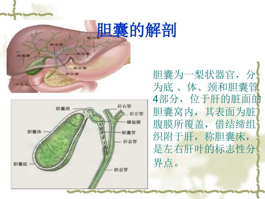 腹腔镜下胆囊切除+胆总管切开取石术护理配合课件_第2页