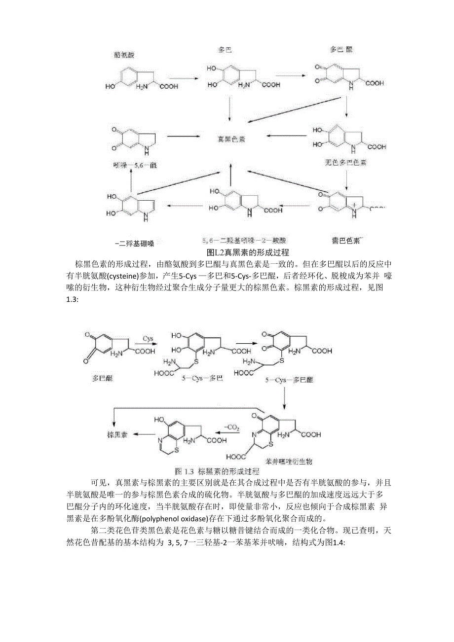 平菇黑色素提取纯化鉴定及功能试验_第2页