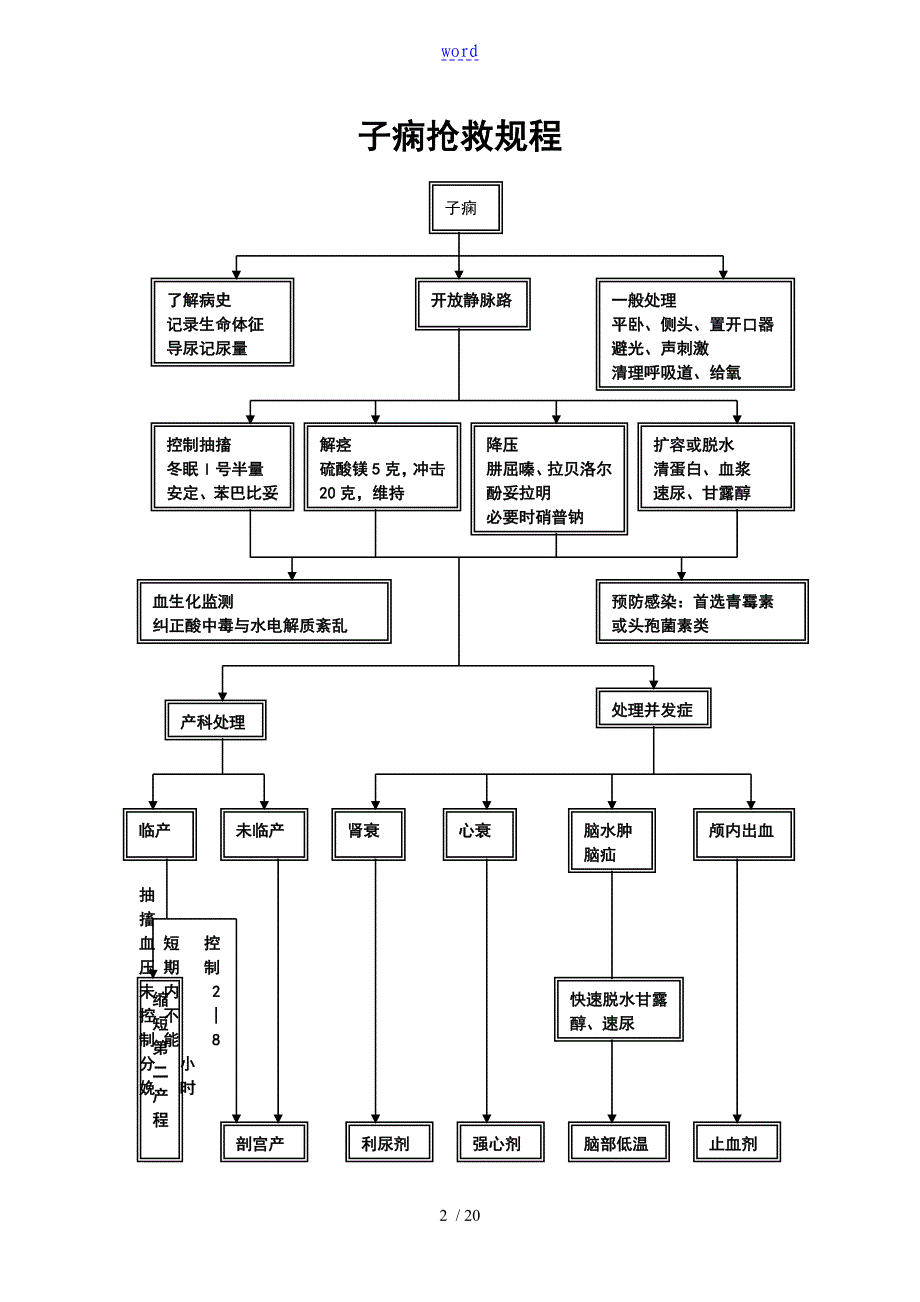 产科急症抢救规程图.doc所有流程图_第2页