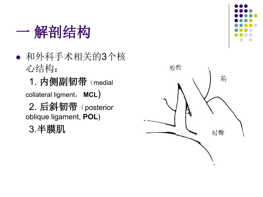 膝关节后内角损伤的外科治疗_第3页