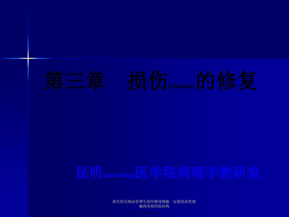 新生的毛细血管增生的纤维母细胞一定量的炎性细胞肉芽组织的结构课件_第1页