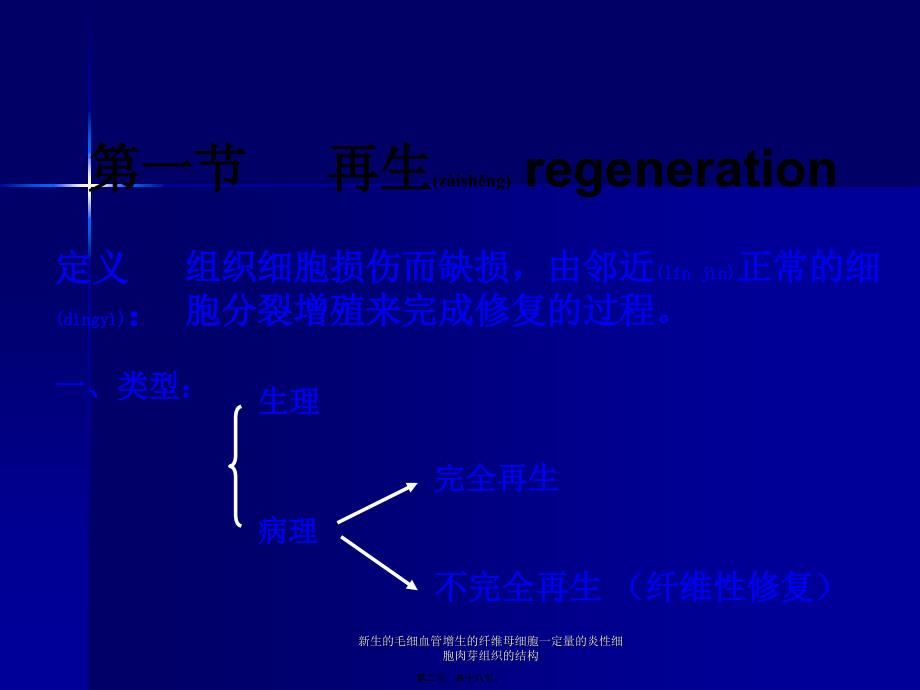 新生的毛细血管增生的纤维母细胞一定量的炎性细胞肉芽组织的结构课件_第2页