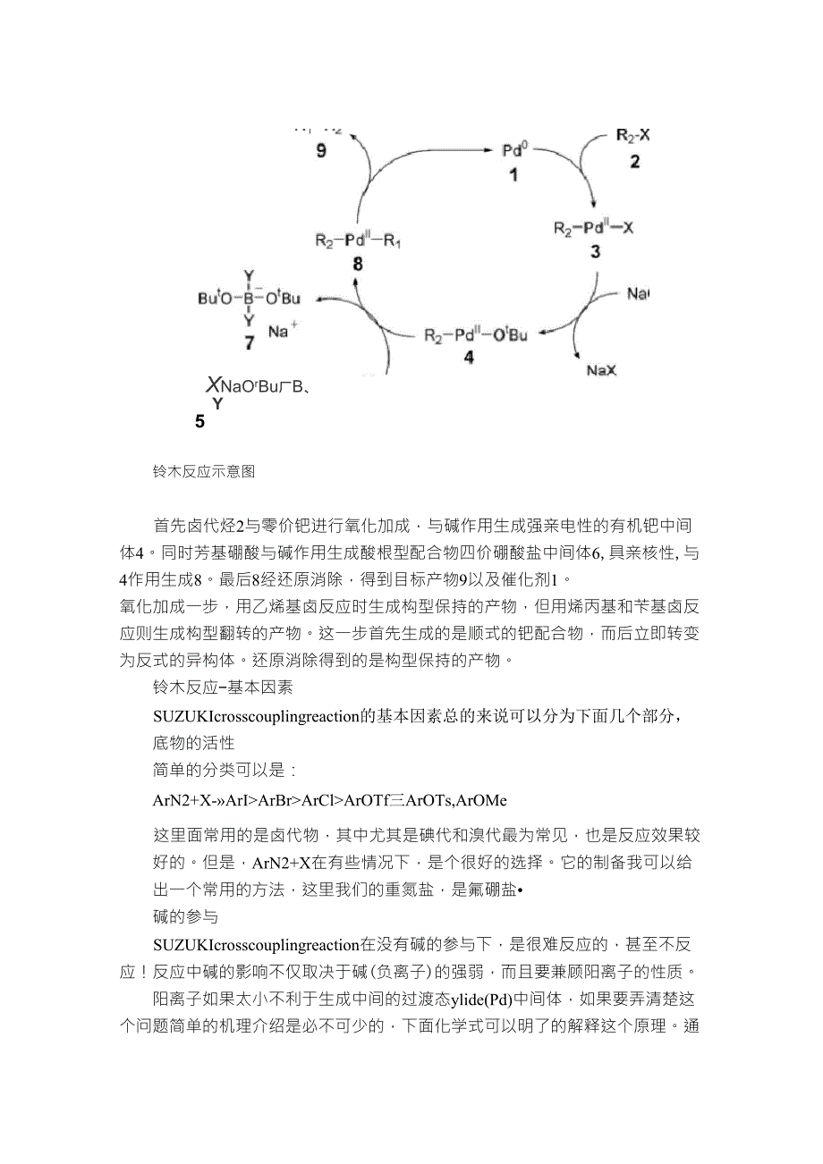 Suzuki反应(铃木反应)_第2页