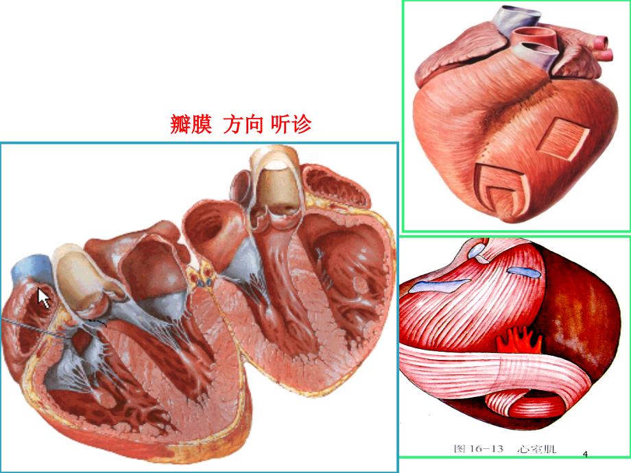 非同步电除颤原理及应用ppt课件_第4页