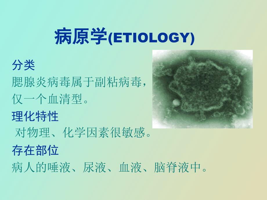 流行性腮腺炎定_第3页