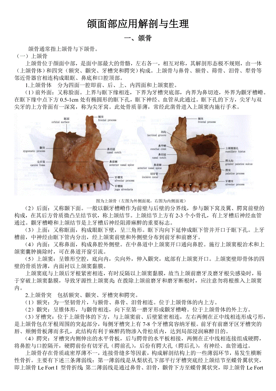 颌面部应用解剖与生理_第1页