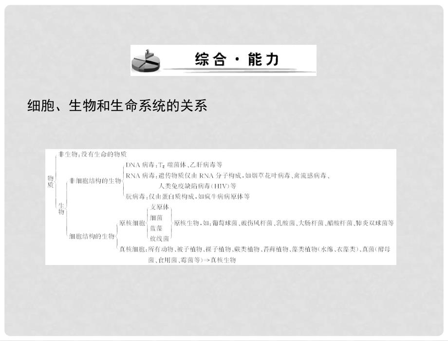 高考生物一轮复习 第1章 本章知识整合课件 新人教版必修1_第3页