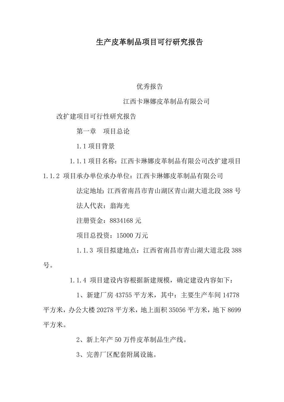 生产皮革制品项目可行研究报告（可编辑） .doc_第1页