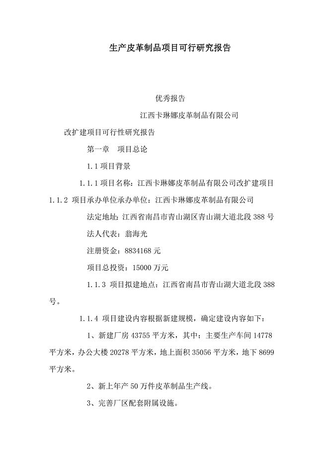 生产皮革制品项目可行研究报告（可编辑） .doc