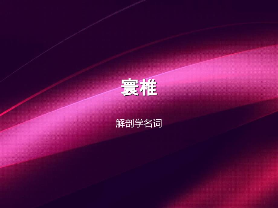 寰椎解剖学部位_第1页