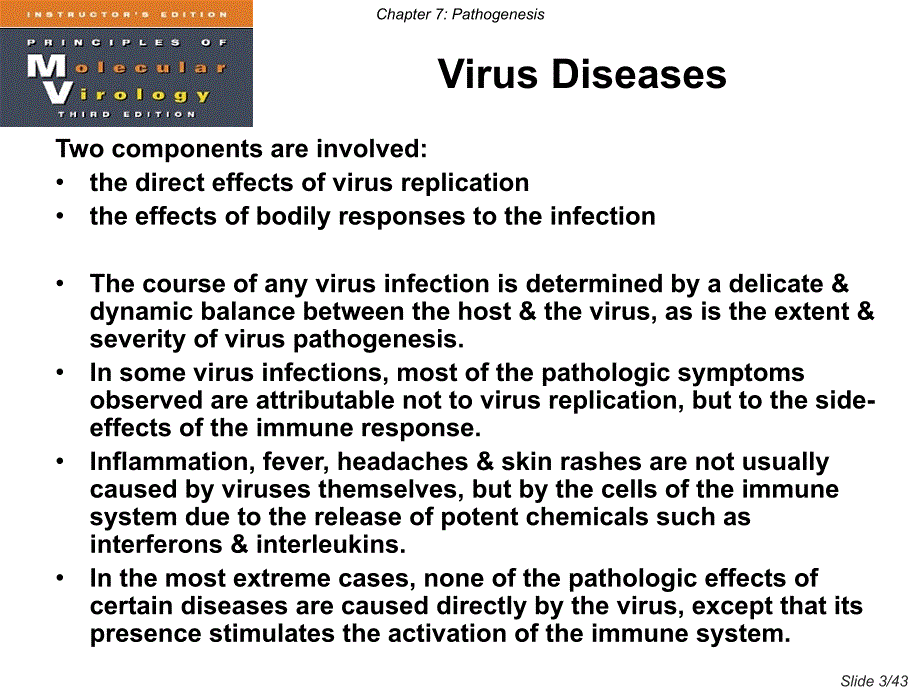 病毒学双语版课件Cha课件_第3页