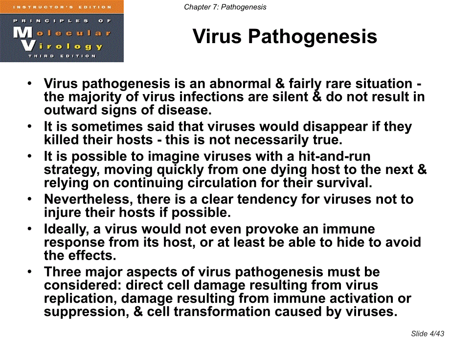病毒学双语版课件Cha课件_第4页
