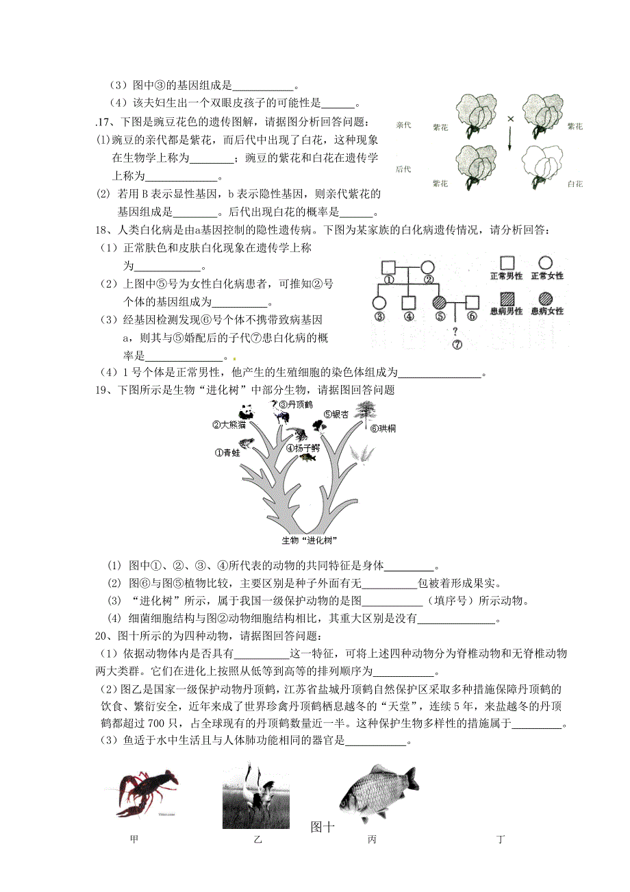 2012年生物部分非选择题及答案_第3页