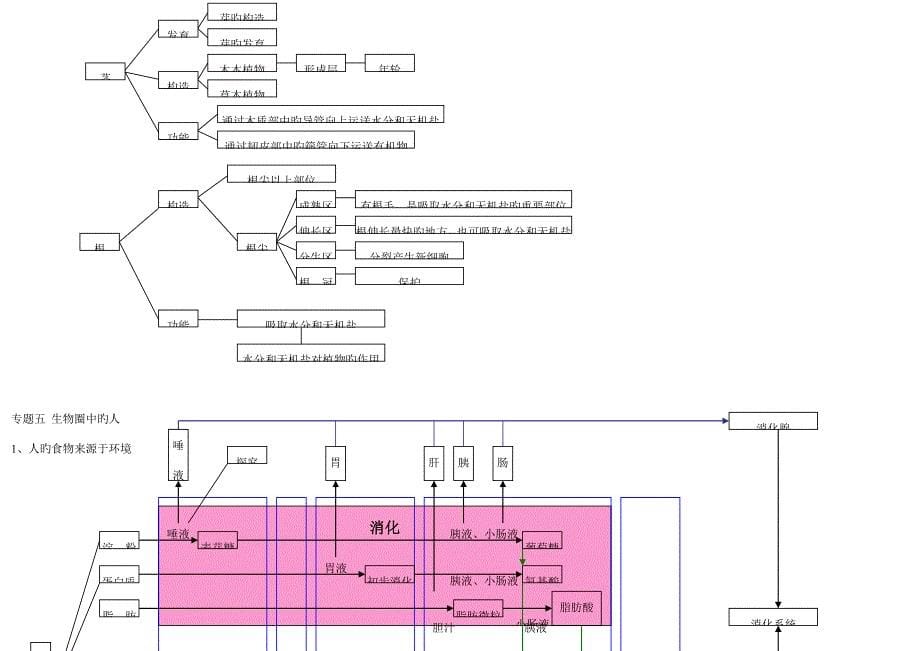 2023年初中生物知识点结构网络图_第5页