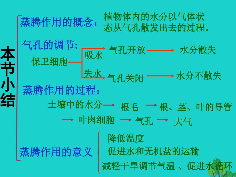 八年级生物上册第三单元第四章第二节蒸腾作用蒸腾作用小结课件冀少版课件_第1页