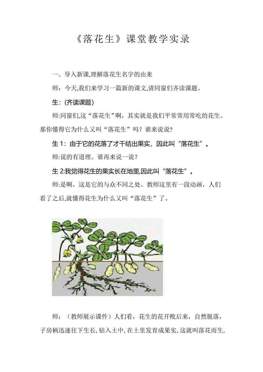 落花生课堂实录_第1页