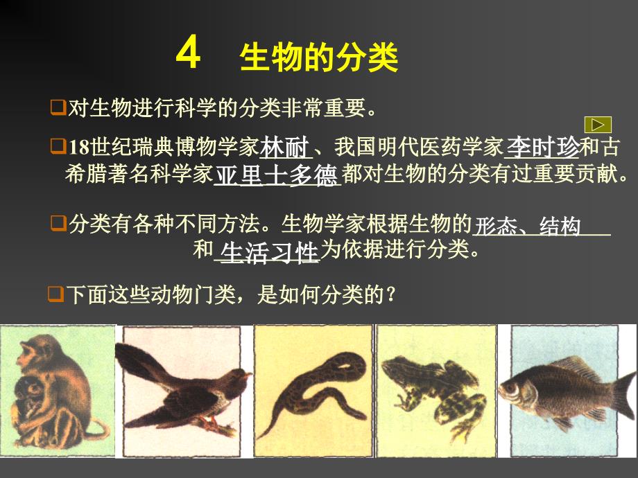 2-4生物的分类_第2页